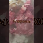 牛丼レシピ #チャンネル登録お願いします #高評価お願いします #拡散希望