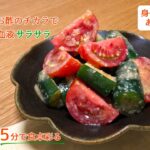 【副菜】時短簡単「トマトときゅうりの酢みそ和え」の作り方｜お酢のチカラで身体労わる副菜