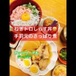 奥さんが作る晩ご飯😋ネギトロしらす丼😆手羽元のさっぱり煮 #おうちごはん #今日の晩ご飯 #簡単レシピ かんたん酢レシピ #ゼファー#ゼファーχ#wrx