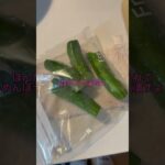 ［100%ハマる梅きゅう］#きゅうりレシピ#夏レシピ#簡単レシピ#料理#自炊#高校生#梅レシピ#はちみつ梅#きゅうり#梅きゅうり#副菜