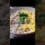 初めて鶏そぼろと甘くした卵で2色丼作りました！#料理 #そぼろ丼