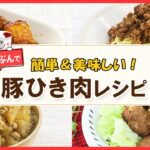 コスパ抜群！アレンジ自在！メインおかずも作り置きも、簡単美味しく時短調理【豚ひき肉レシピ4選】