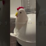 激うま確定❕半熟卵丼✨️レシピはInstagramで公開中（@_yama.recipe）#簡単レシピ #簡単料理 #今日の晩ごはん #料理 #卵 #丼ぶり #cooking