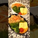 【お弁当作り】牛丼どーん #Shorts #お弁当 #obento
