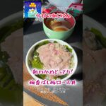 「シンわかめ、どっさりぃー梅香ばし豚ロース丼」 #料理 #まいにちごはん #cooking #レシピ動画 #簡単レシピ #leledebea #料理動画 #自炊 #天栄米 #わかめ #朝ごはん #朝食