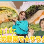 【pecoの完ぺきじゃないお弁当】生の野菜でサラダ弁当