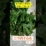 ニラのナムル #shorts  #家庭菜園 #料理 #野菜 #ニラ #ニラのナムル #畑の野菜で料理 #簡単料理