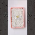 不器用さんでも作れる　ごはんが進む野菜（いつもより）たっぷりキーマカレー弁当#shorts