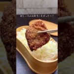 福井名物！ミルフィーユ風ソースカツ丼 #shorts