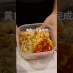 【お弁当】自分用の映えない残り物弁当#shorts #料理 #自炊 #簡単レシピ #cooking #時短レシピ #時短 #お弁当 #お弁当作り #手作り #弁当