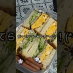 夫にお弁当欲しいなって言われたからだし巻き卵サンド作ったよ#shorts #料理 #簡単レシピ #自炊 #お弁当 #cooking #bento #夫婦