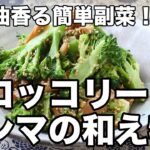ブロッコリーとメンマの和え物の作り方【ごま油香る簡単副菜】