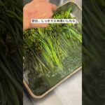 ワラビのあく抜き　 #ワラビ #下ごしらえ #野菜料理 #まかない #山菜 #山菜料理