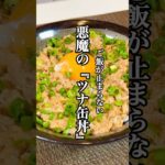 【時短料理】ご飯が止まらない！！悪魔の『ツナ缶丼』を紹介 #時短レシピ #簡単レシピ #丼 #せりちゃん食堂
