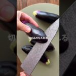 【農家のレシピ】ズボラなのにうますぎる🤤作り置きにもぴったりな麻薬なすたま🍆