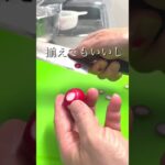 水玉ラディッシュ　お弁当の彩りにぴったり　#ラディッシュ飾り切り　#お弁当  #簡単レシピ