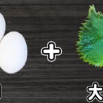 【卵と大葉のレシピ】簡単たまごサラダの作り方!レンジでチンして和えるだけ♪美味しすぎて箸が止まらない!夏にオススメ絶品副菜レシピ