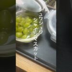 皆大好き!シュワシュワシャインマスカット🍇 #ダイエットレシピ #ヘルシースイーツ #シャインマスカット
