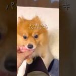 さつまいものパウンドケーキ