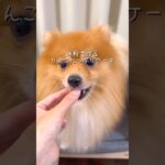 りんごたっぷりケーキ