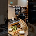 【飼い主と食べる】ブロッコリーのシフォンケーキ #pets #dog #レシピ #チワワ
